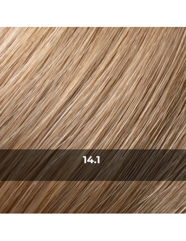 TAPE SYSTEM,  REMY, Premium haute...