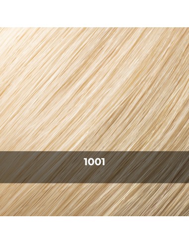 TAPE SYSTEM,  REMY, Premium haute...