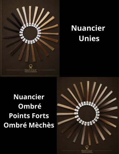 Nuancier  HAIR CLIP  X2 cheveux 100%...